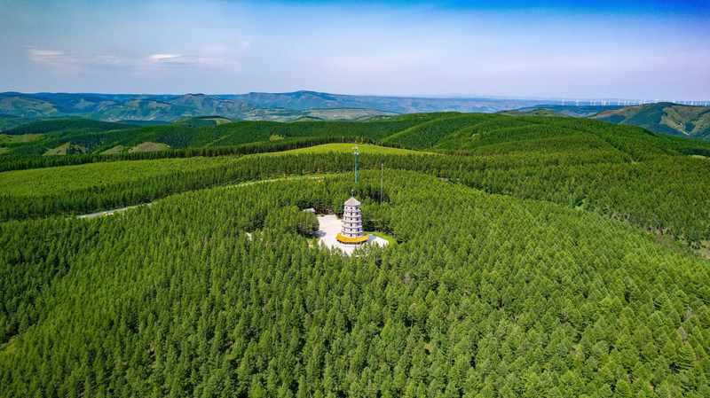  春风拂面，植树正当时；绿色家底，不断增厚。 文化旅游