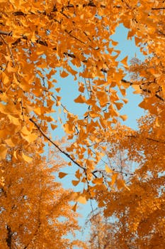  中东资本悄然回流香港；避险需求再度显现。 股票财经