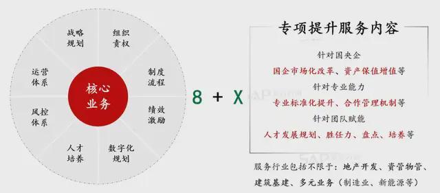  管理咨询的进化逻辑：从地产深耕到全产业链赋能的实证分析 IT技术