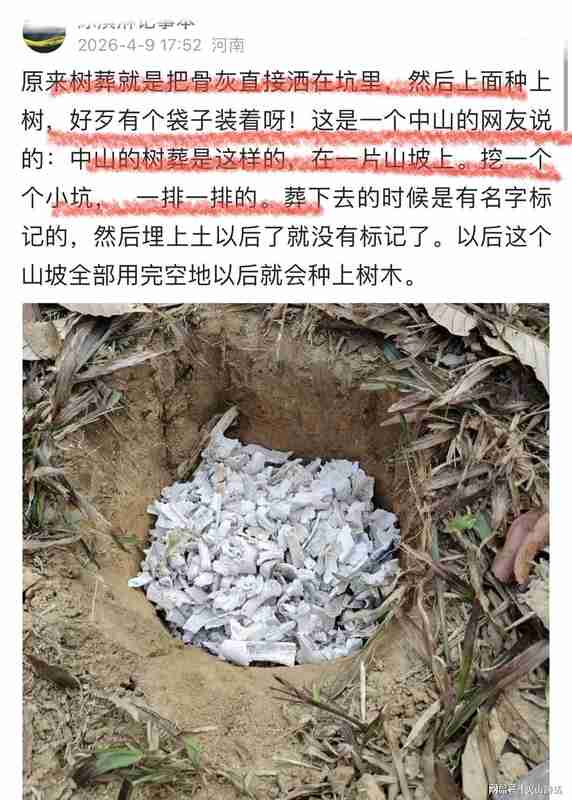  生态殡葬技术深度解析：树葬如何实现土地可持续利用 新闻