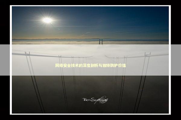 网络安全技术的深度剖析与独特防护价值