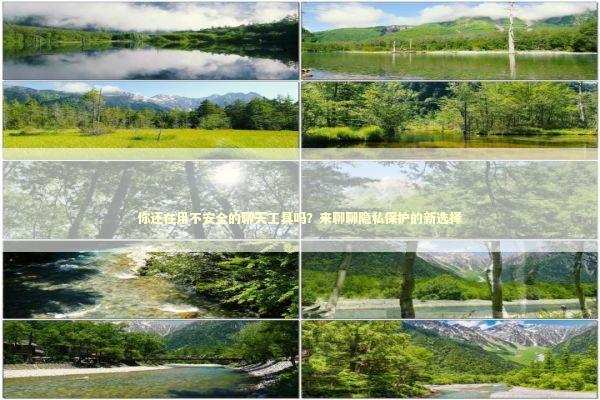 你还在用不安全的聊天工具吗?来聊聊隐私保护的新选择 你还在用不安全的聊天工具吗?来聊聊隐私保护的新选择 新闻