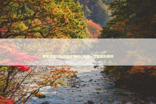 那些年我们在网络冲浪时，总有一个默契的陪伴