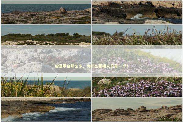 货源平台那么多，为什么聪明人只用一个？