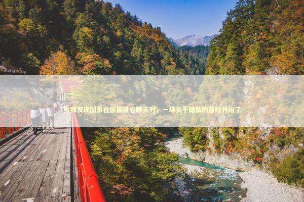 当我发现同事在偷偷用它聊天时，一场关于隐私的冒险开始了 IT技术